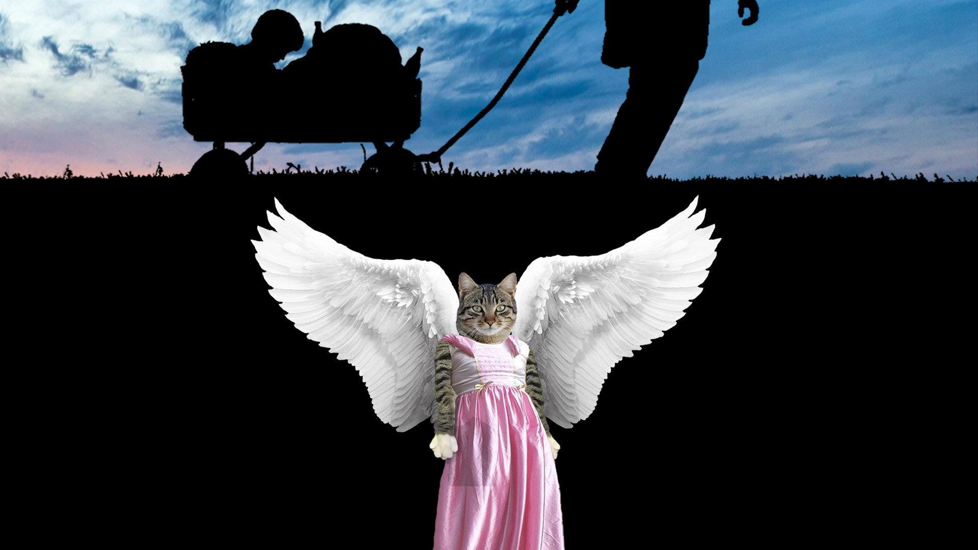 Danke tote Katze 2019 movie scene