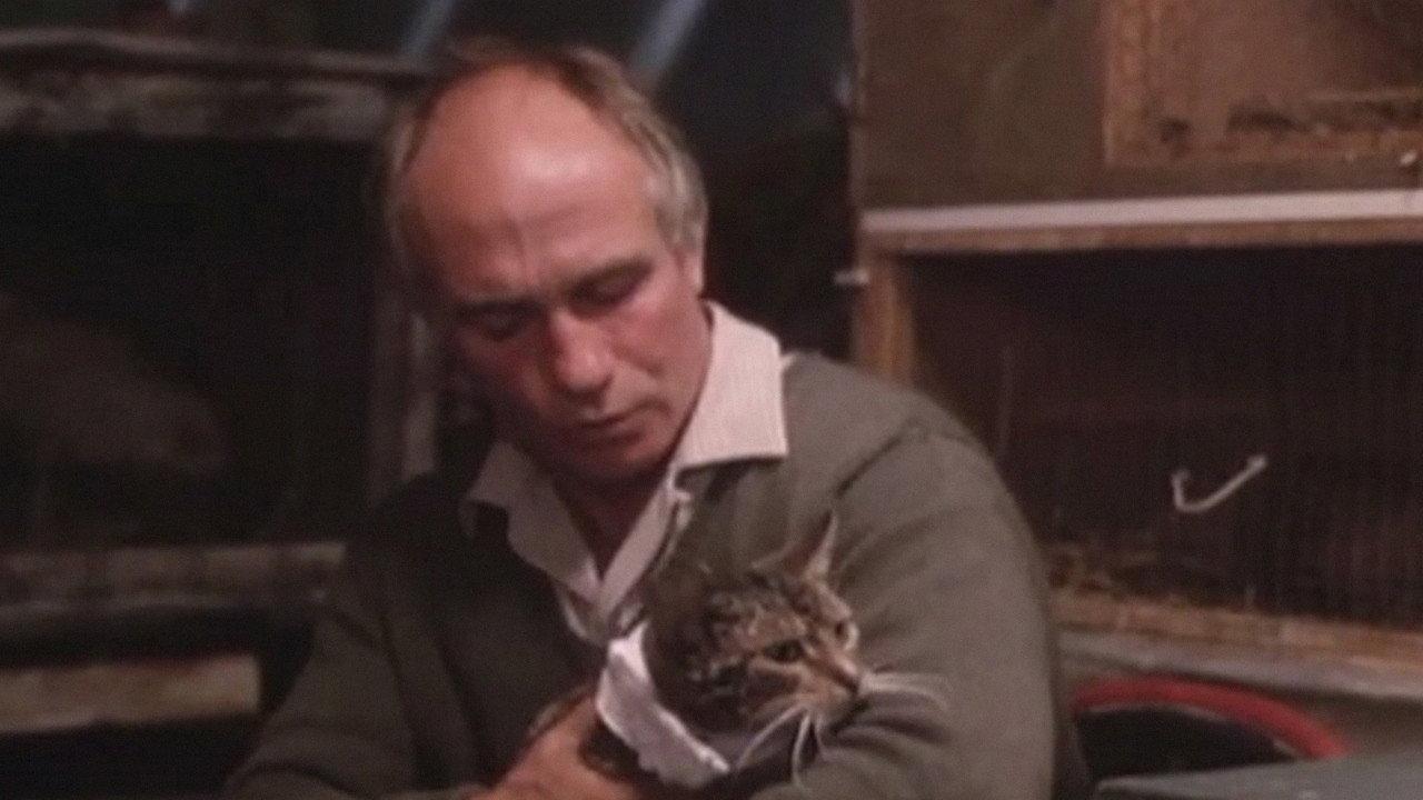Mr. Love 1986 movie scene
