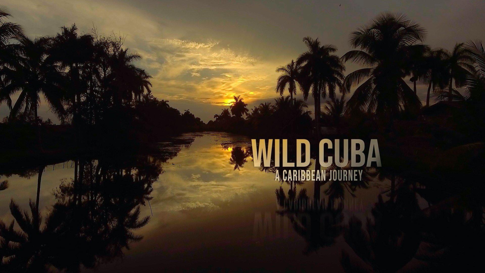Wild Cuba: A Caribbean Journey 2020 movie scene