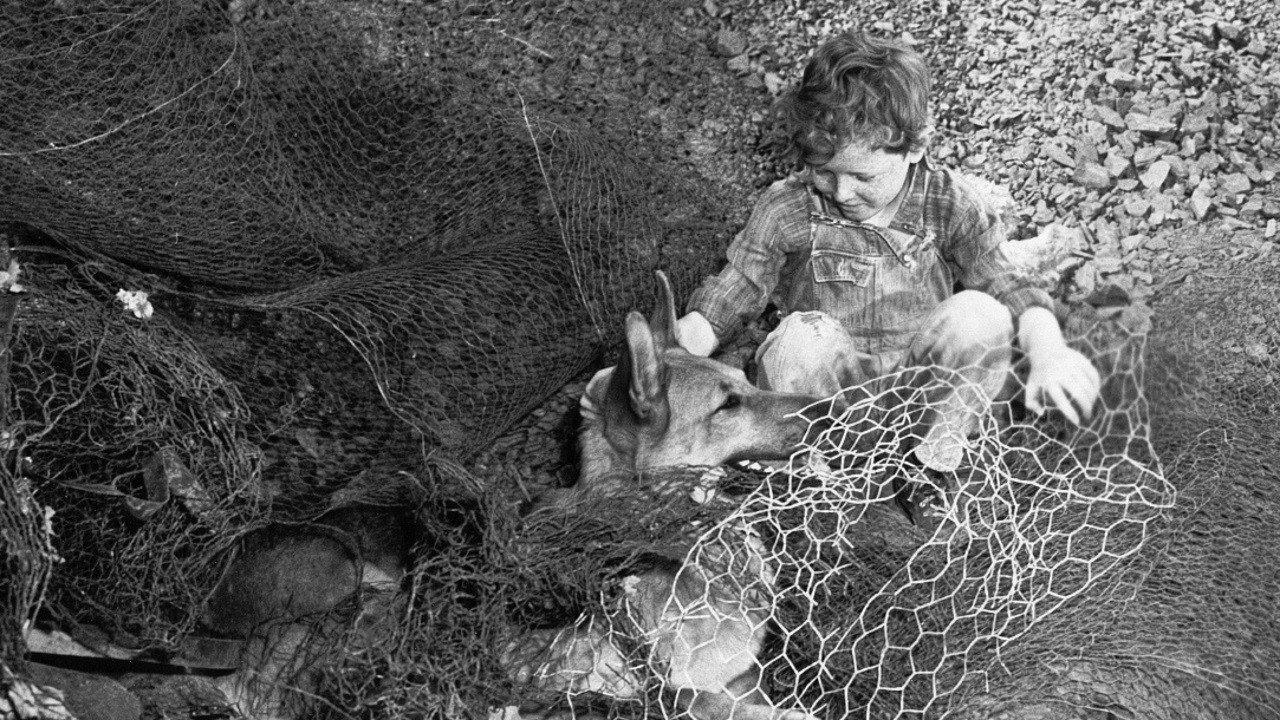 Rusty's Birthday 1949 movie scene