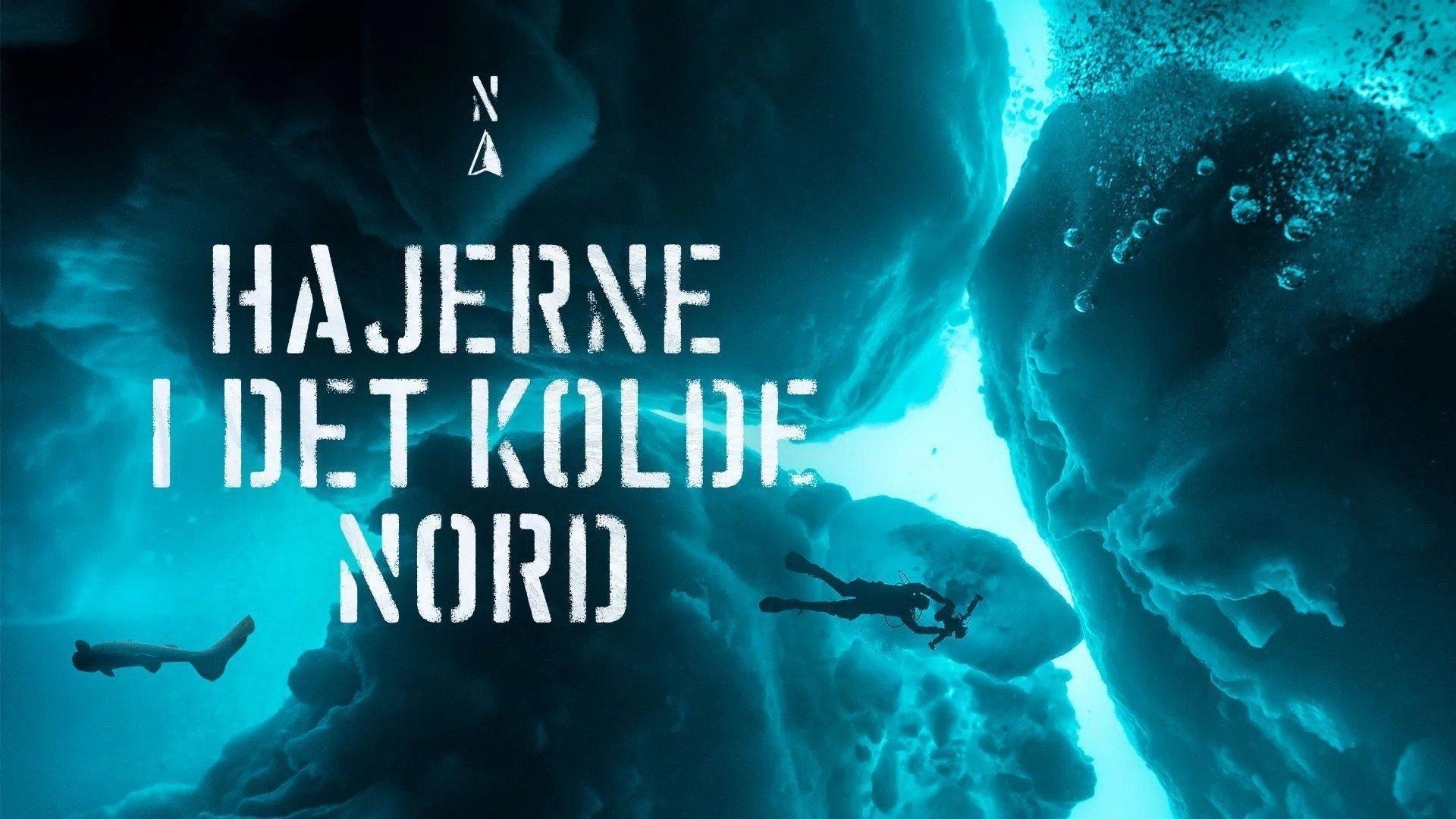 Ghosts of the Arctic - Greenland Shark  movie scene