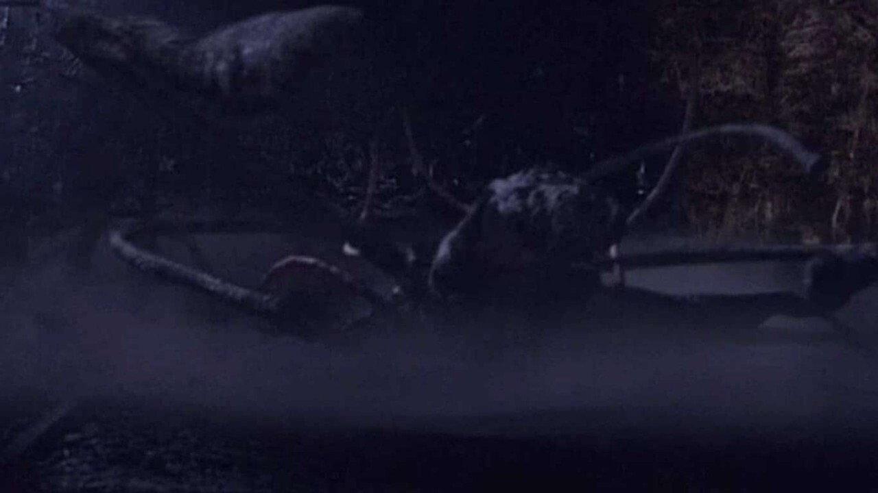 Resonnances 2006 movie scene