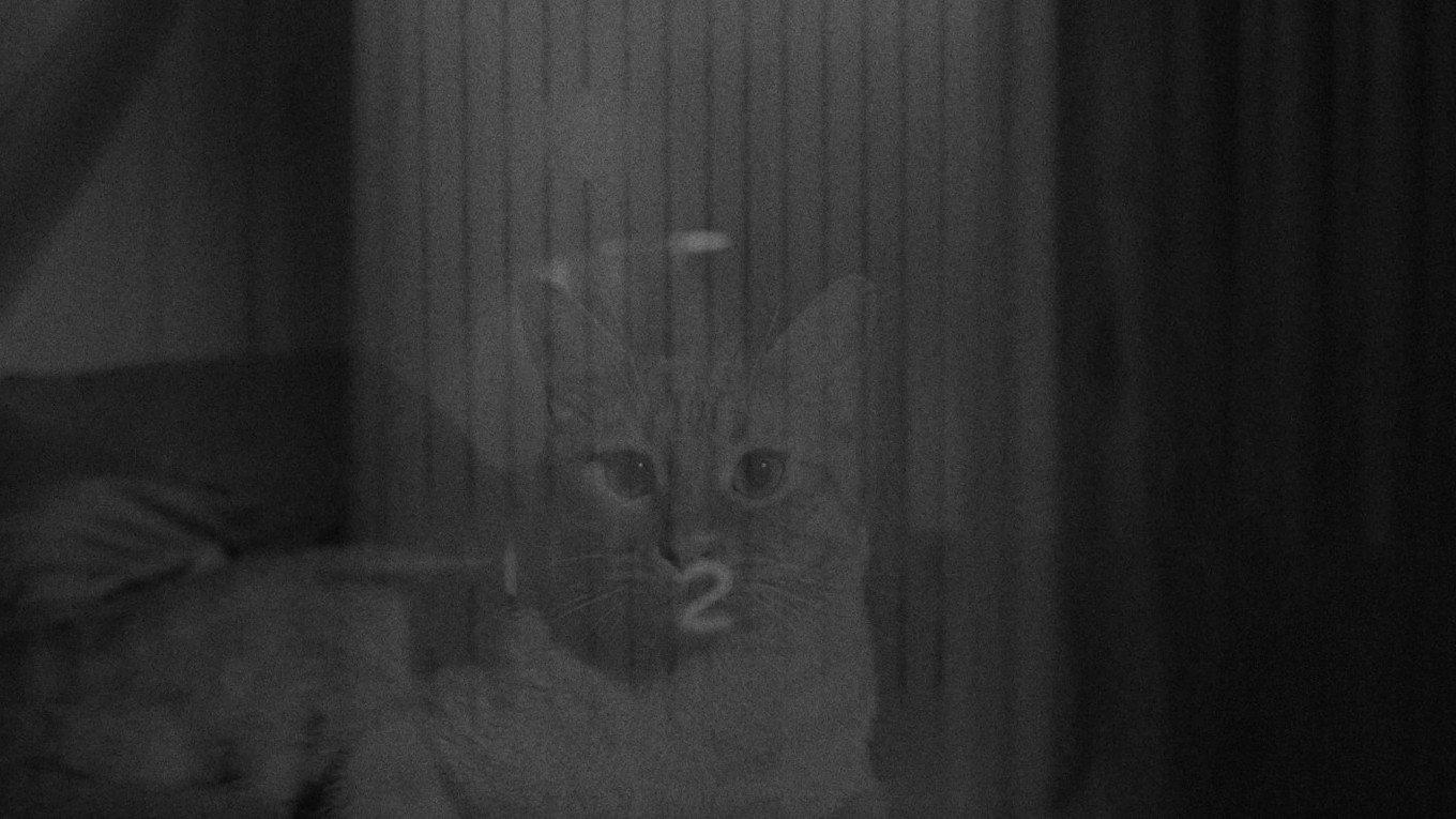 E-502 2021 movie scene