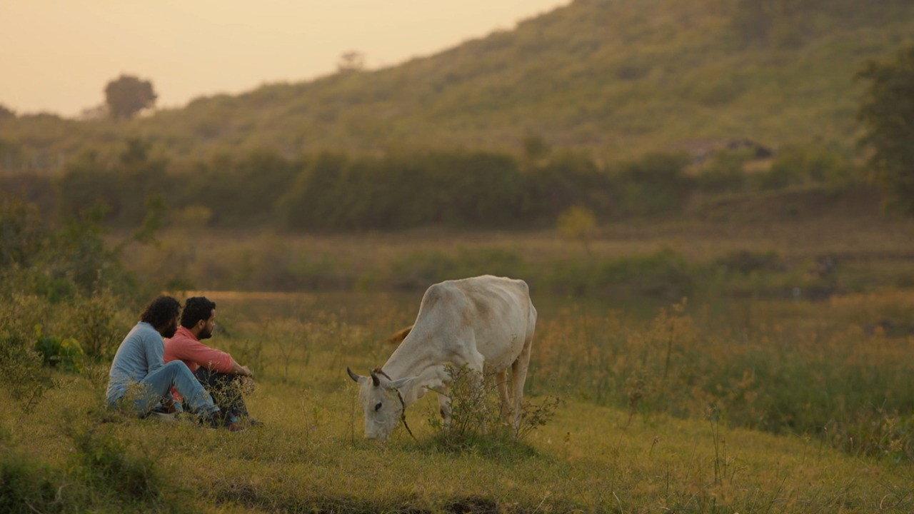 Cowmedy 2021 movie scene