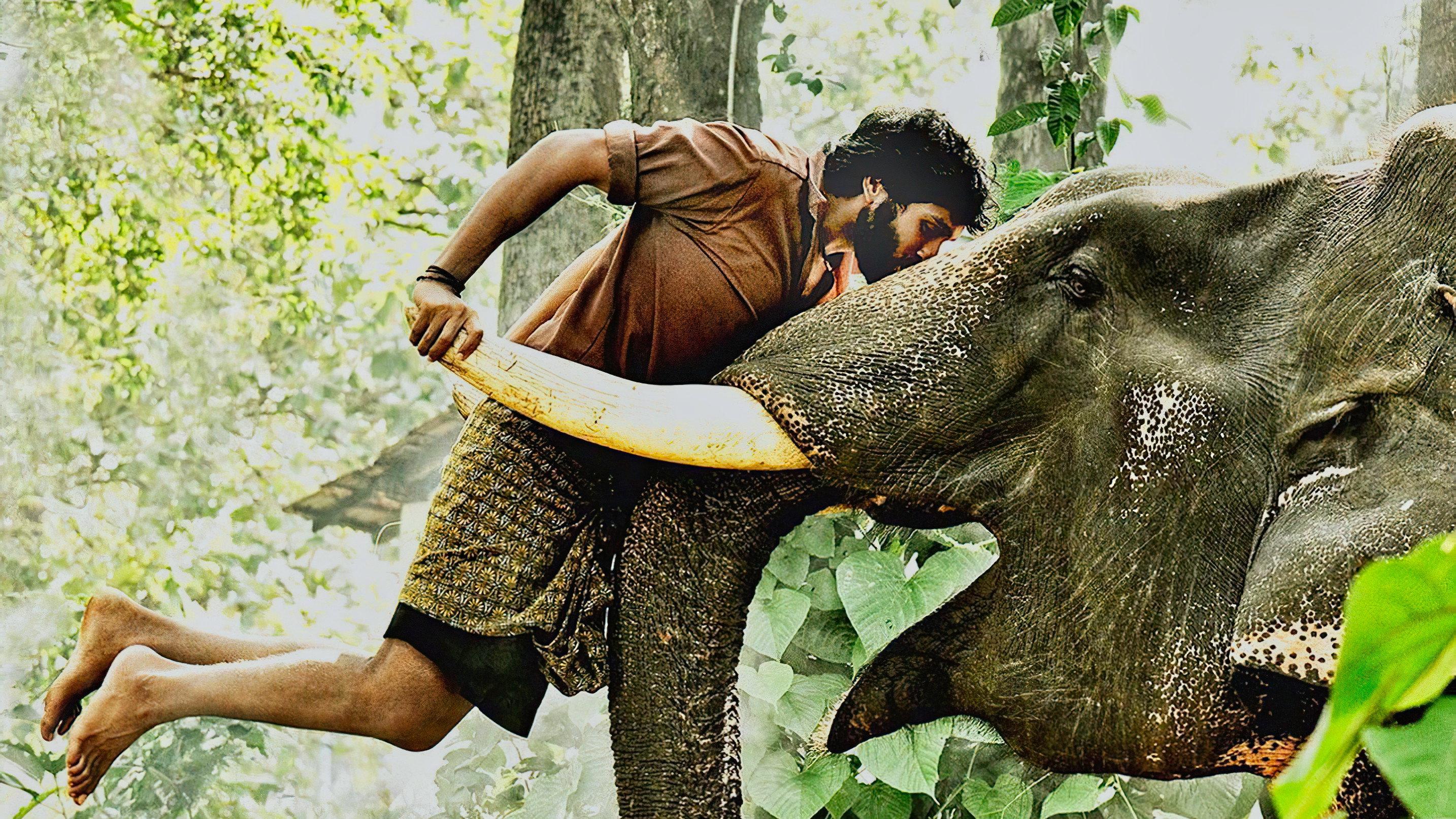 Kumki 2012 movie scene