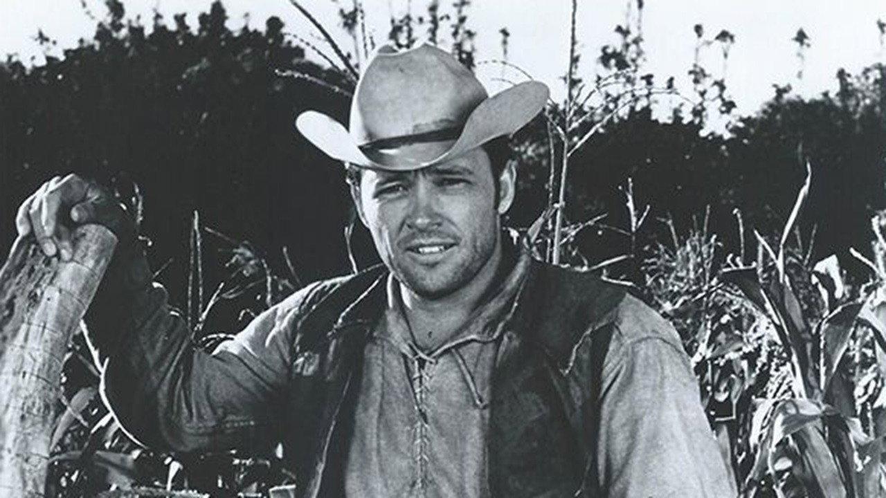 Sancho, the Homing Steer 1962 movie scene