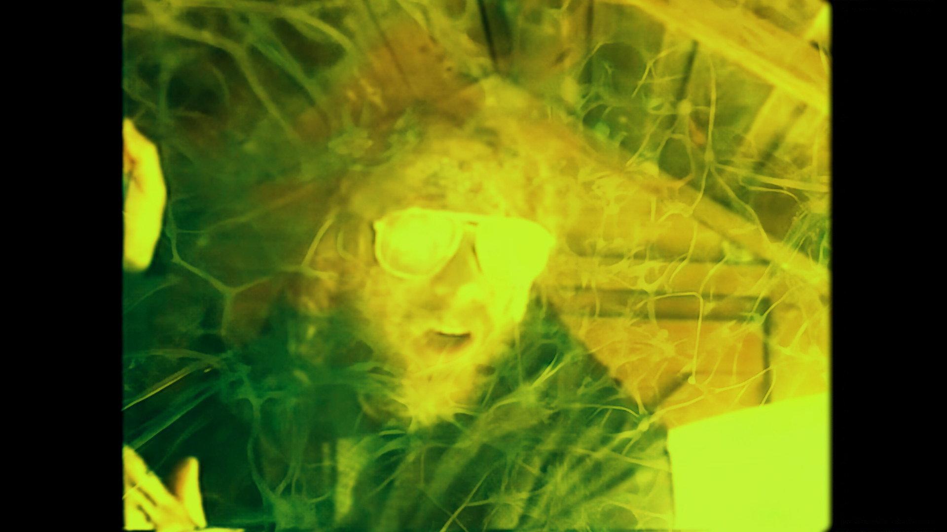 Weedkiller 2026 movie scene