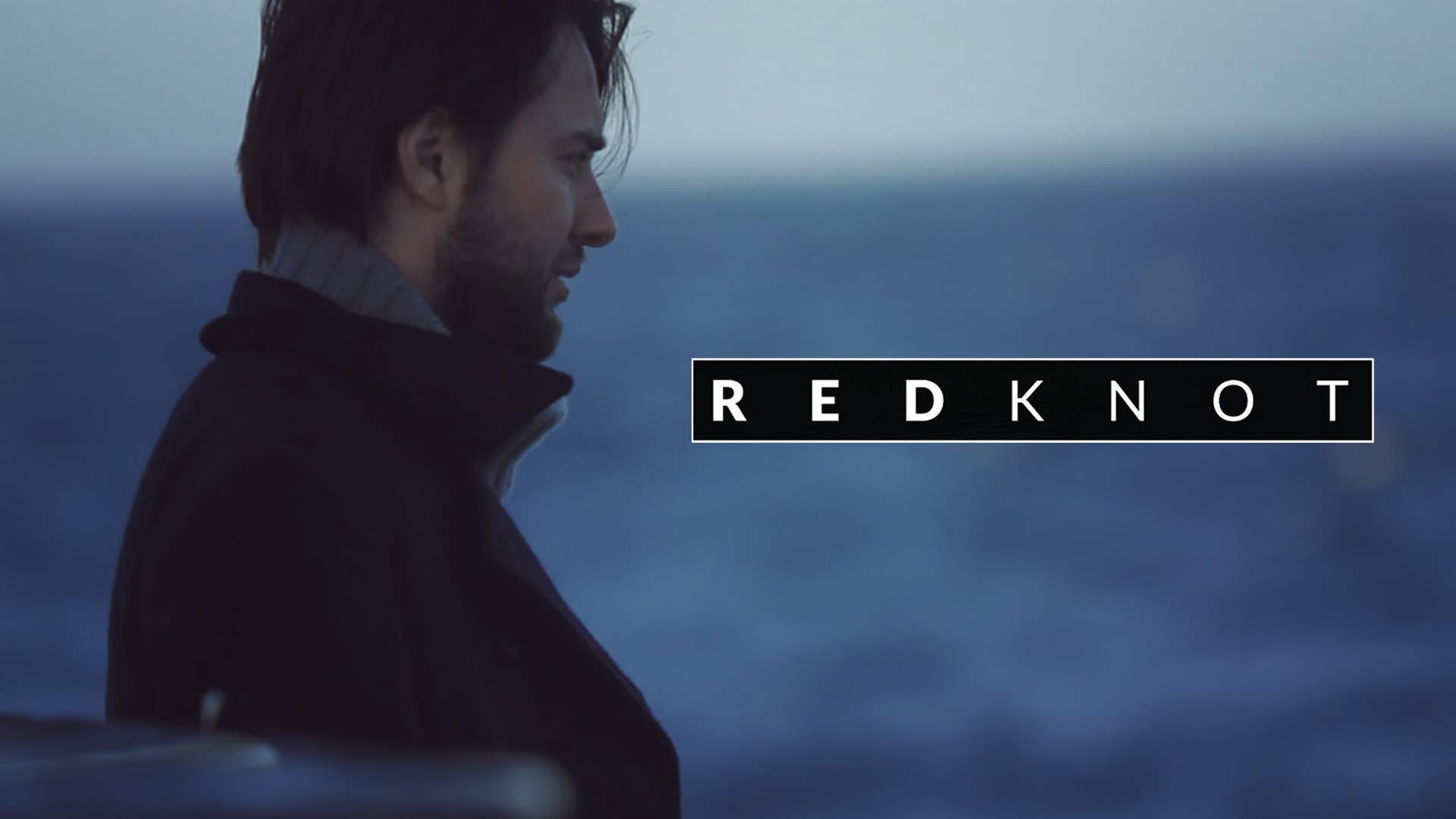 Red Knot 2014 movie scene