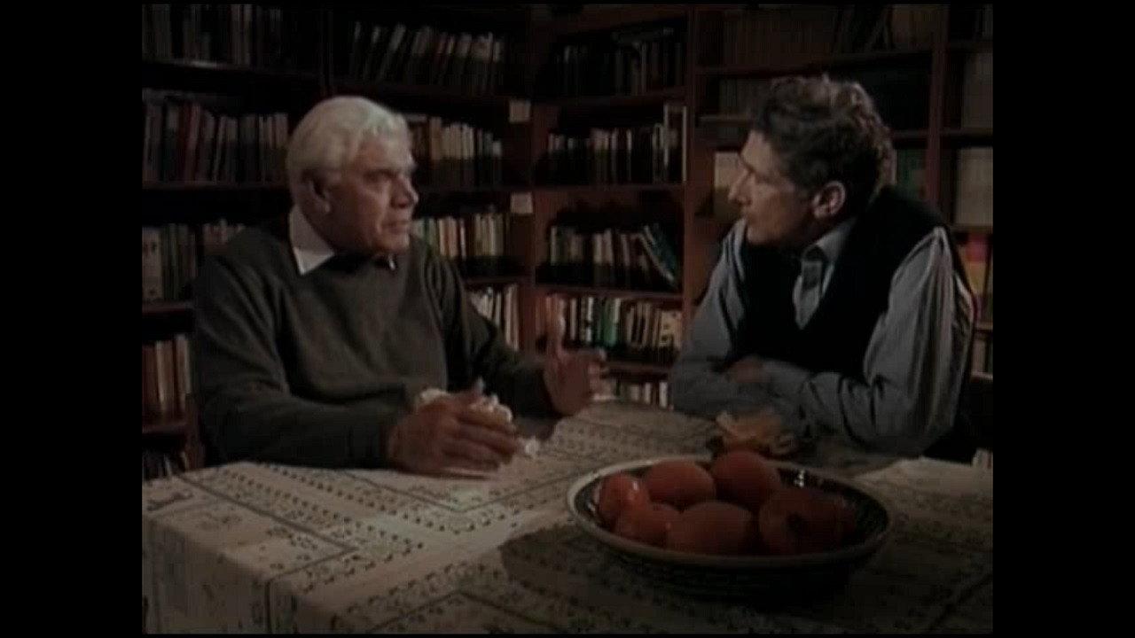 In Search of Palestine: Edward Said's Return Home 1998 movie scene