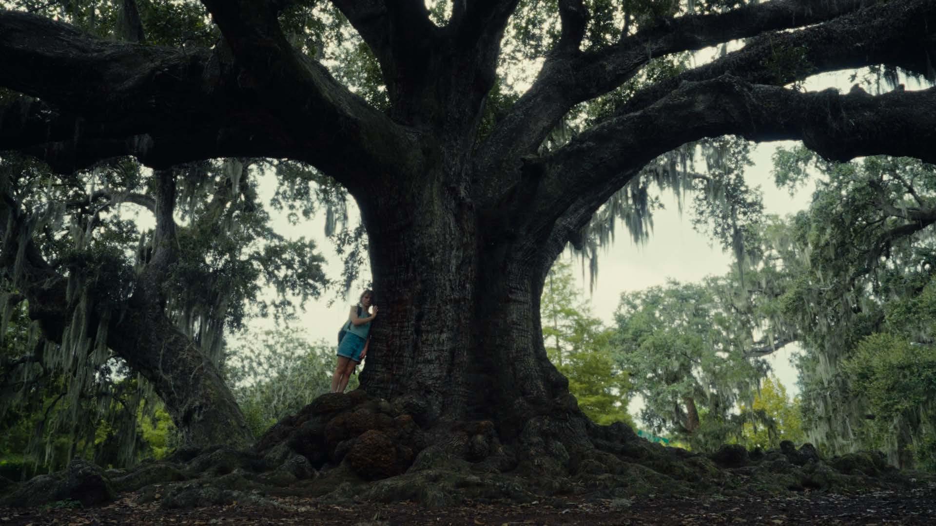 Everywhere I Look 2025 movie scene