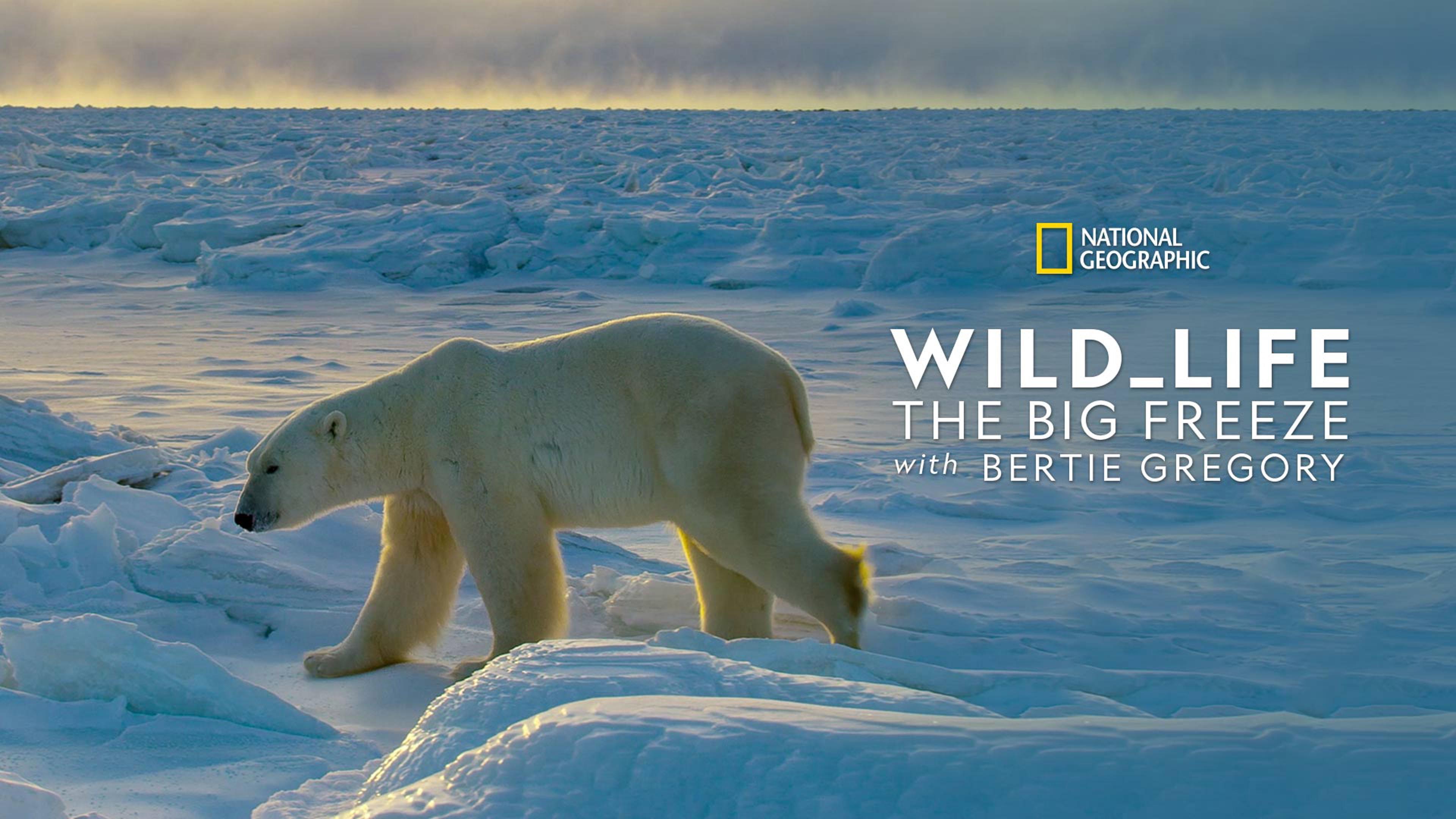 Wild Life: The Big Freeze 2020 movie scene