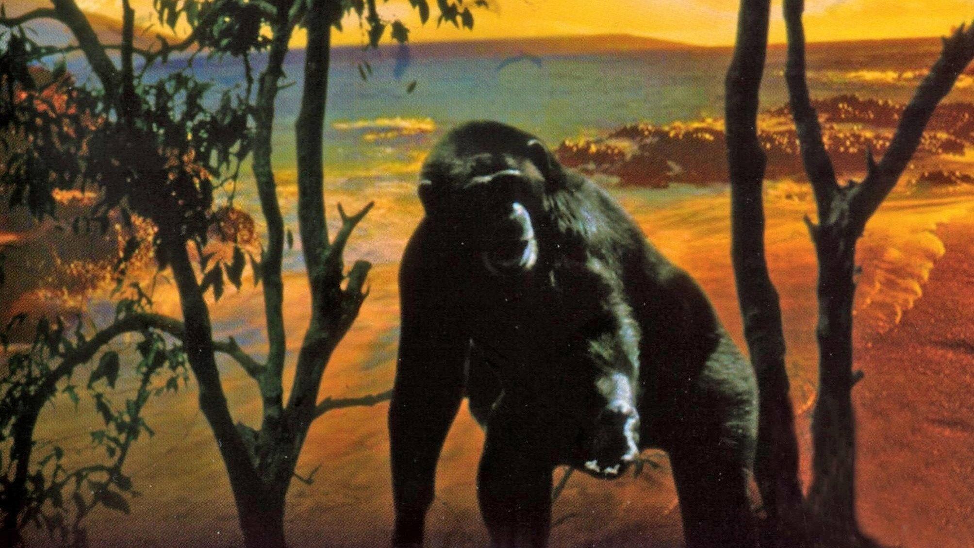 Bestiary of Love 1965 movie scene