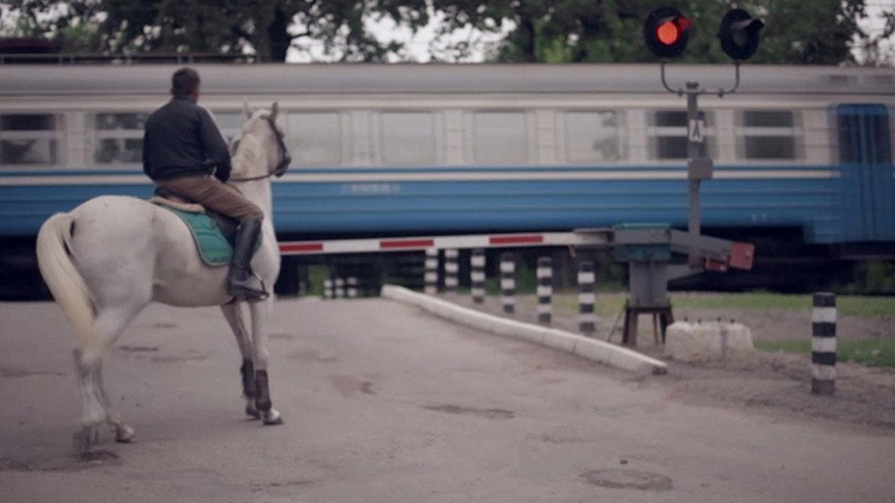 Grey Horses 2016 movie scene