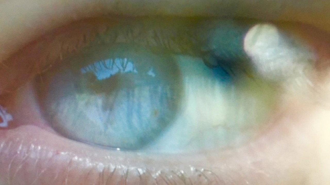 An Absence of Reciprocity in Vulnerability, Losses and Risks 2017 movie scene