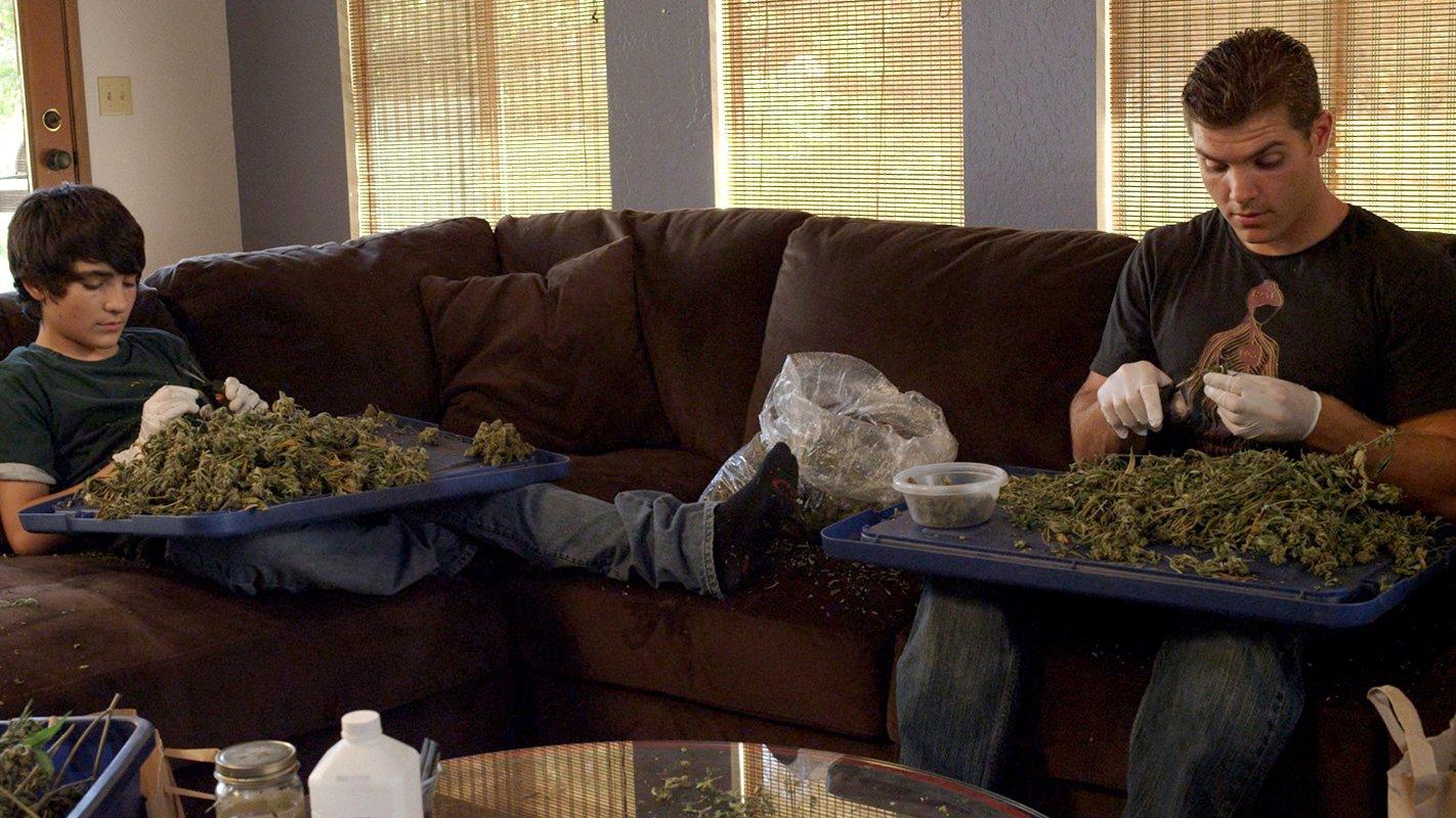 Green Is Gold 2016 movie scene