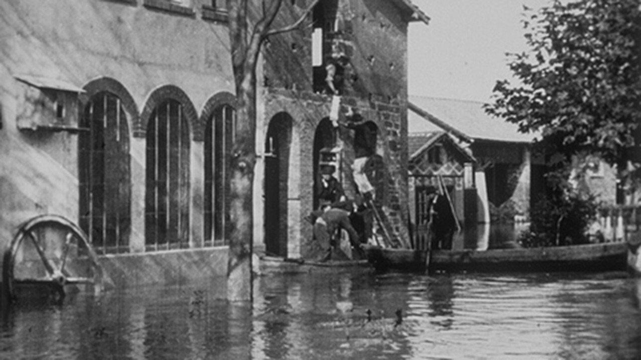 Lyon : sauvetage de lapins 1896 movie scene