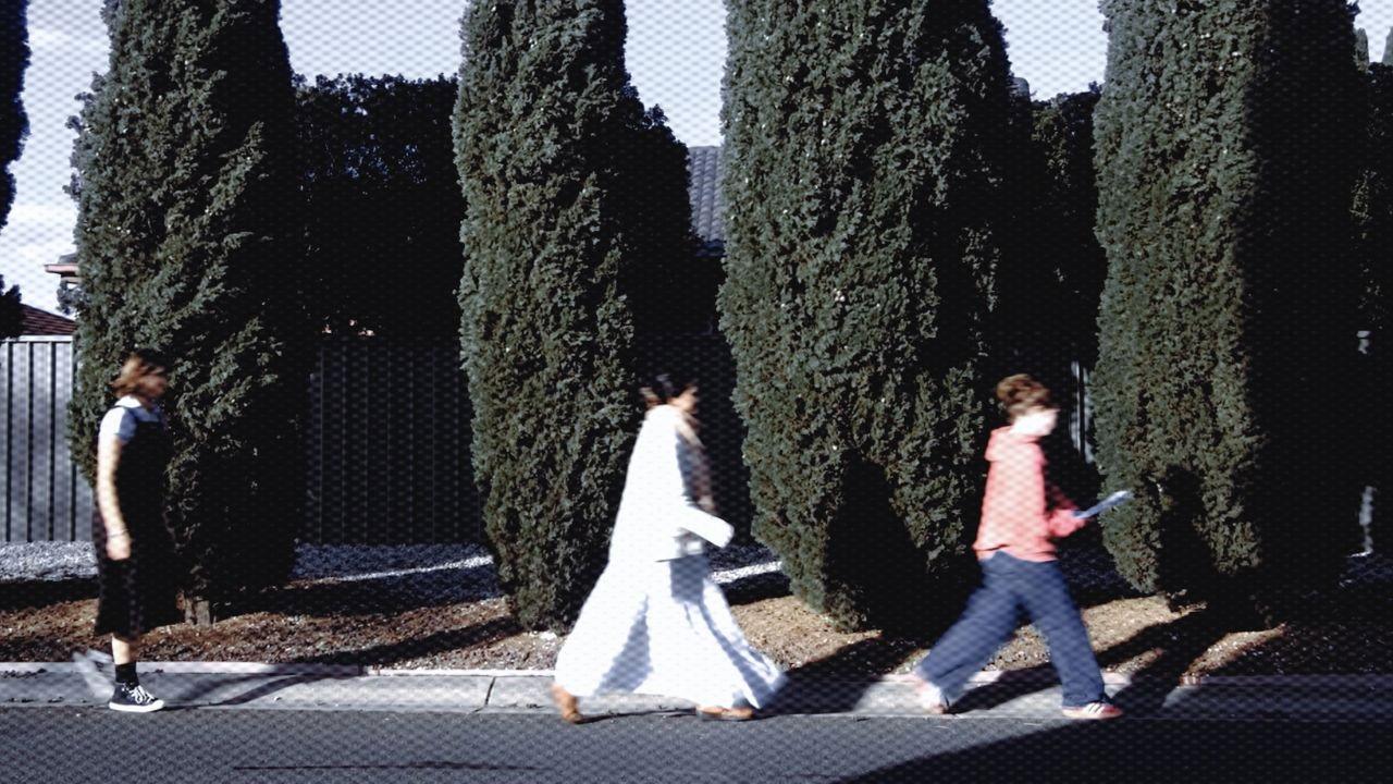 analog sentimentalism 2026 movie scene