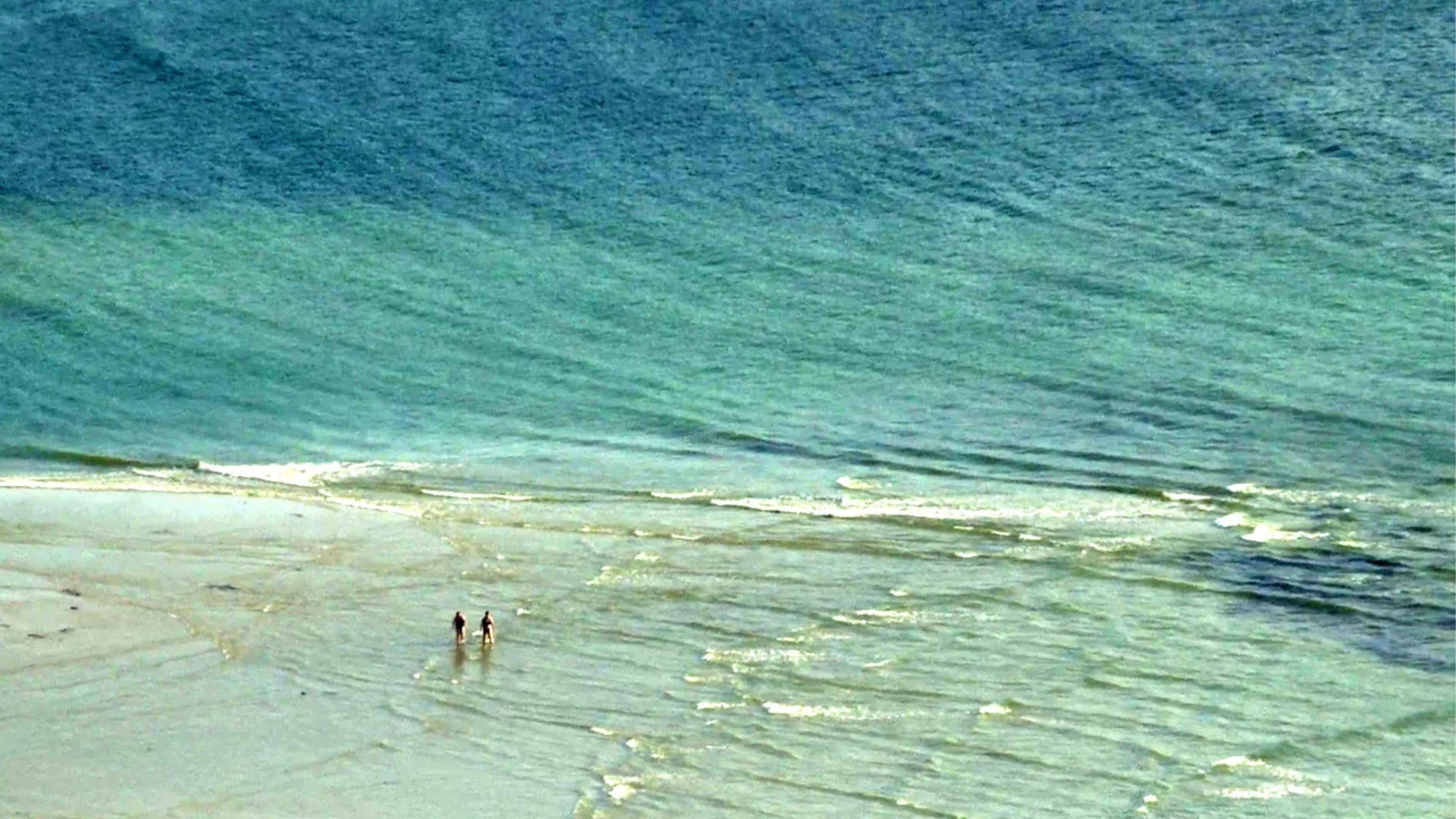 Coast of Death 2014 movie scene