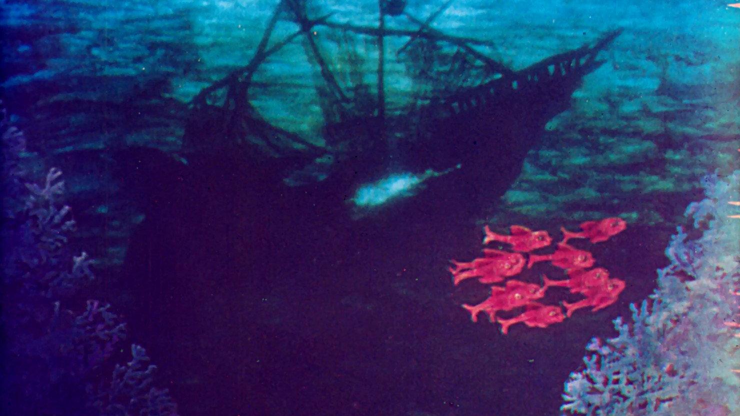 Cardinal Fish 1988 movie scene
