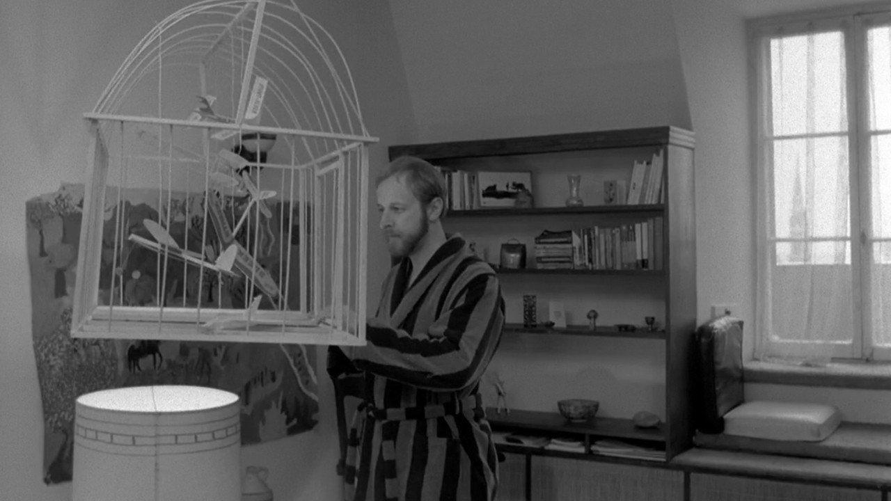 Don't Let It Kill You 1967 movie scene