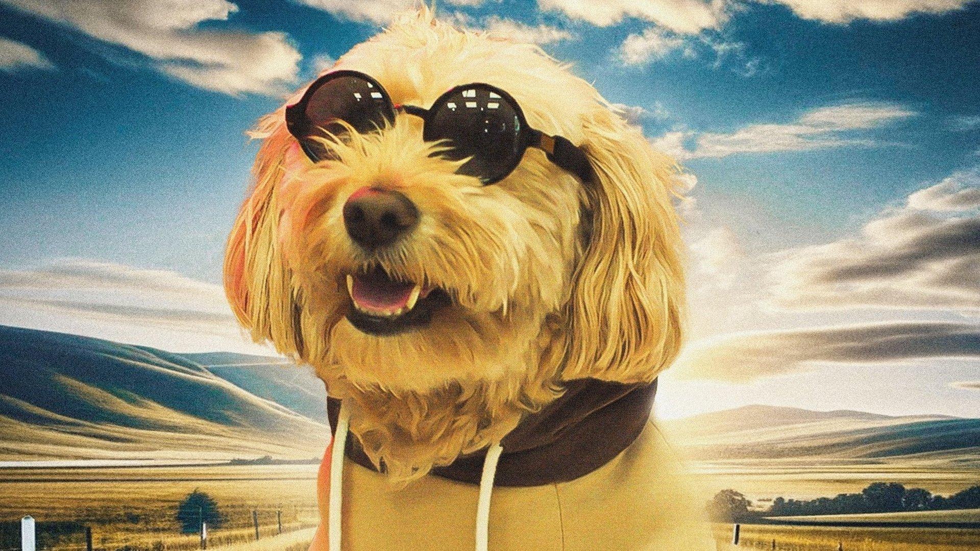 Dog Fugitive 2025 movie scene