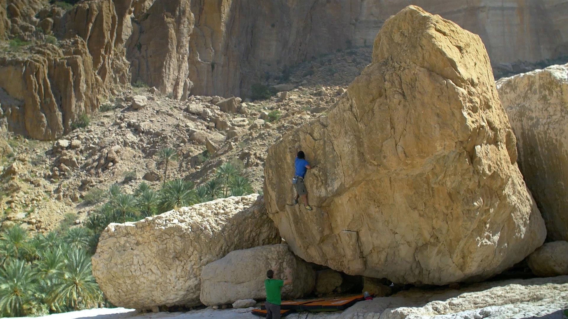 Valley Of Giants 2015 movie scene