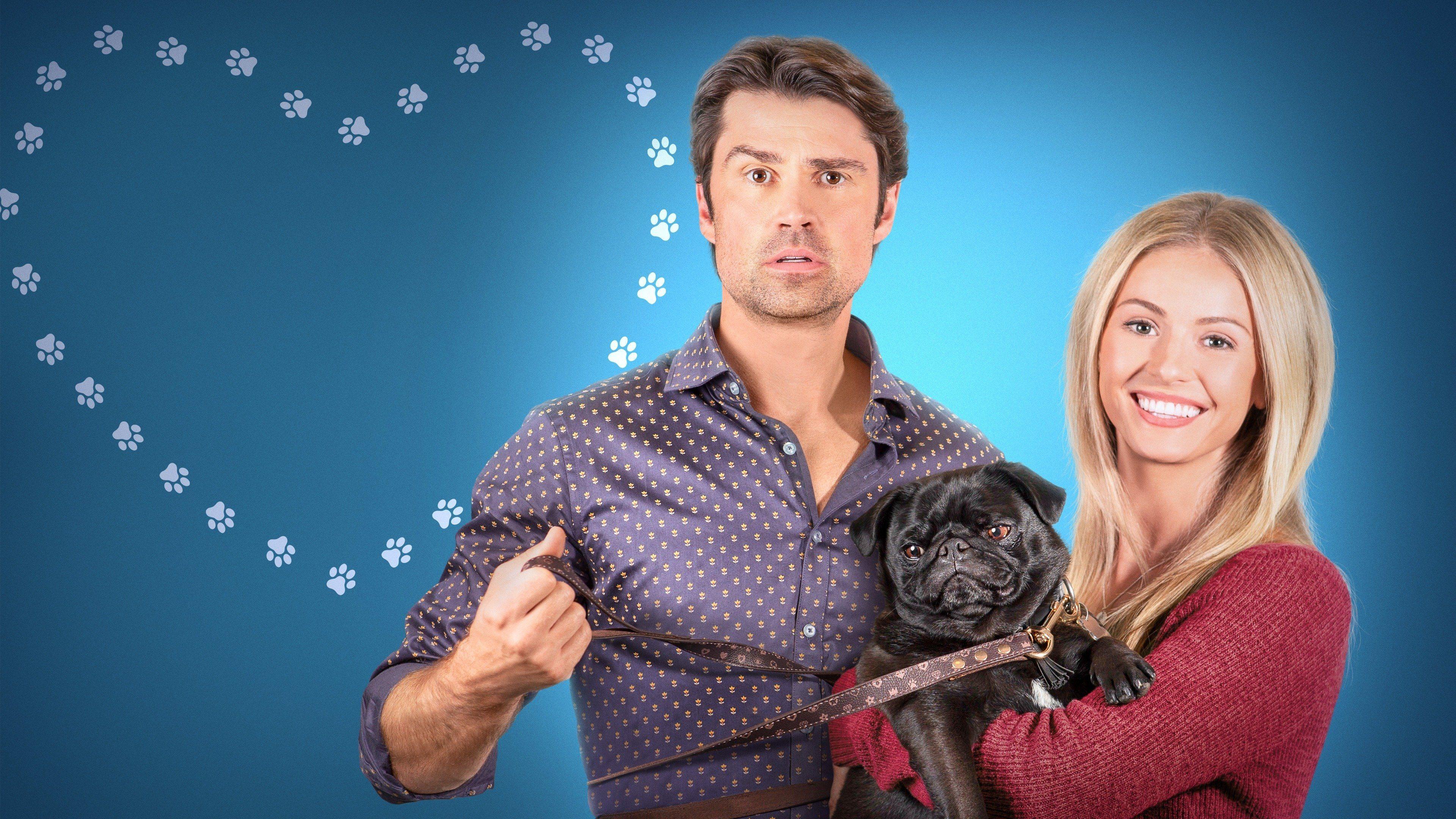 The Dog Lover's Guide to Dating 2023 movie scene