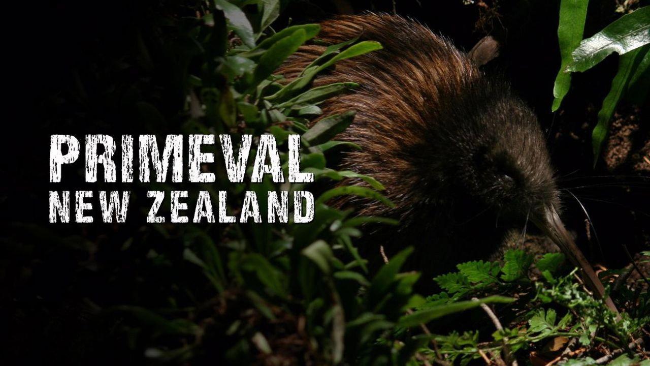 Primeval New Zealand 2012 movie scene
