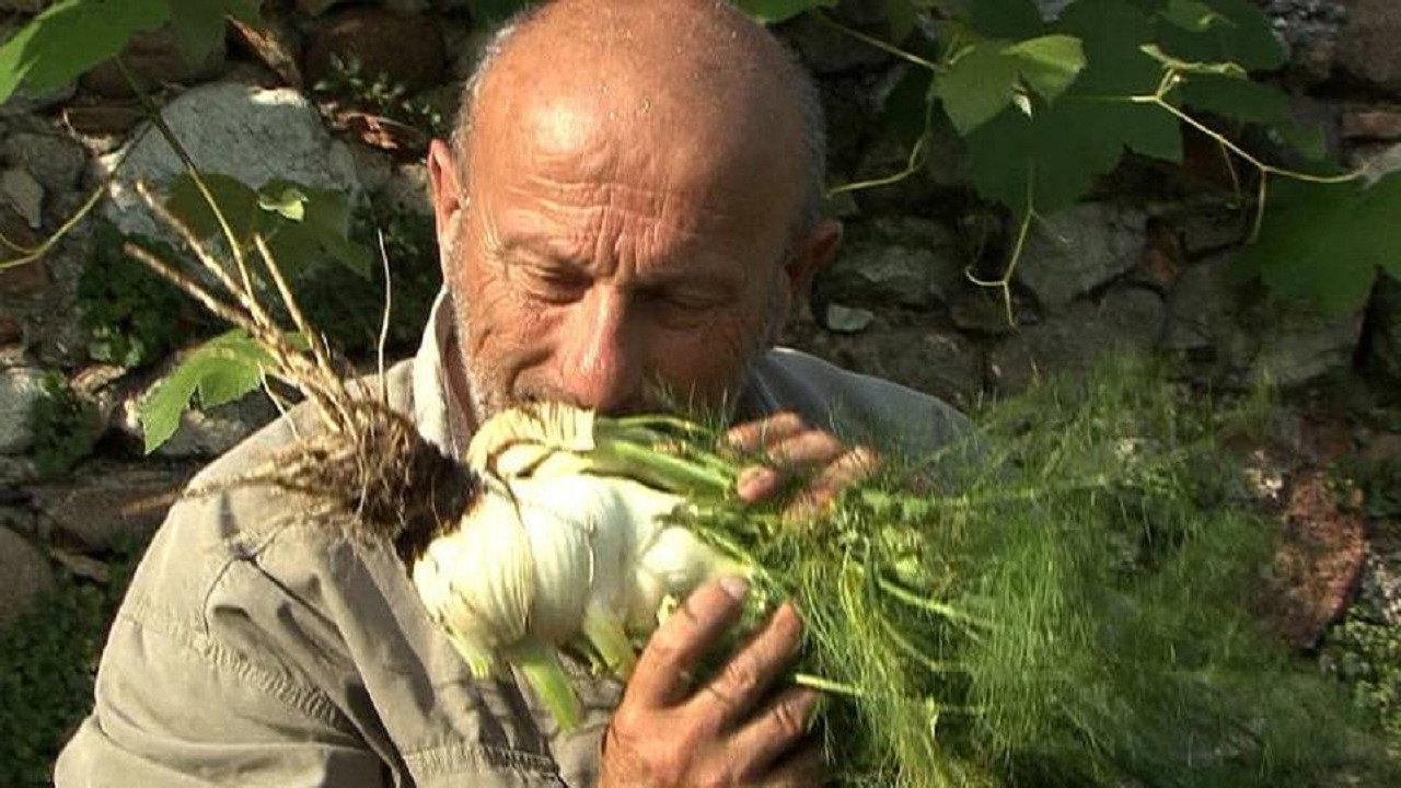 Mother Earth 2009 movie scene