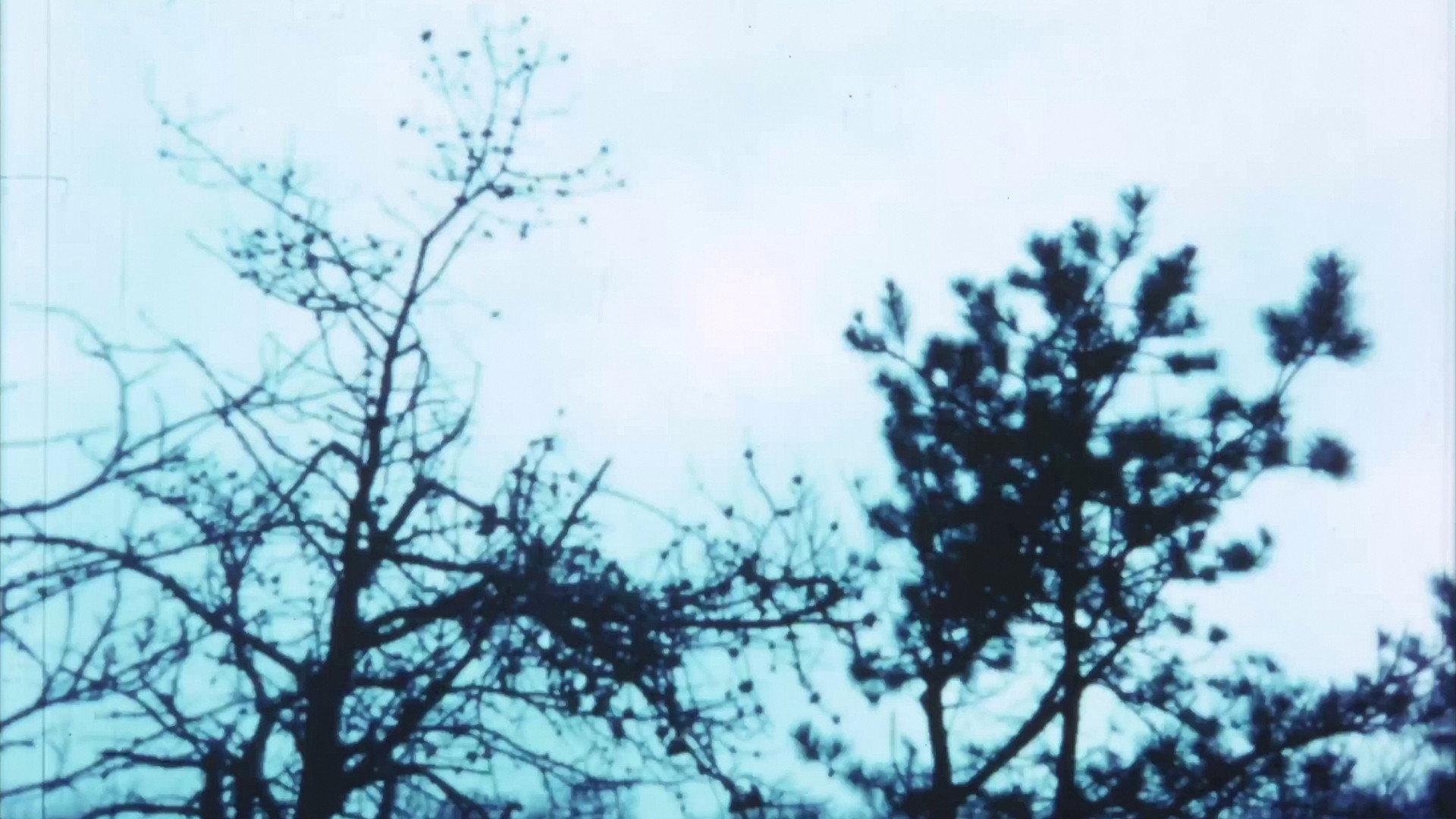 Vineyard I 1967 movie scene