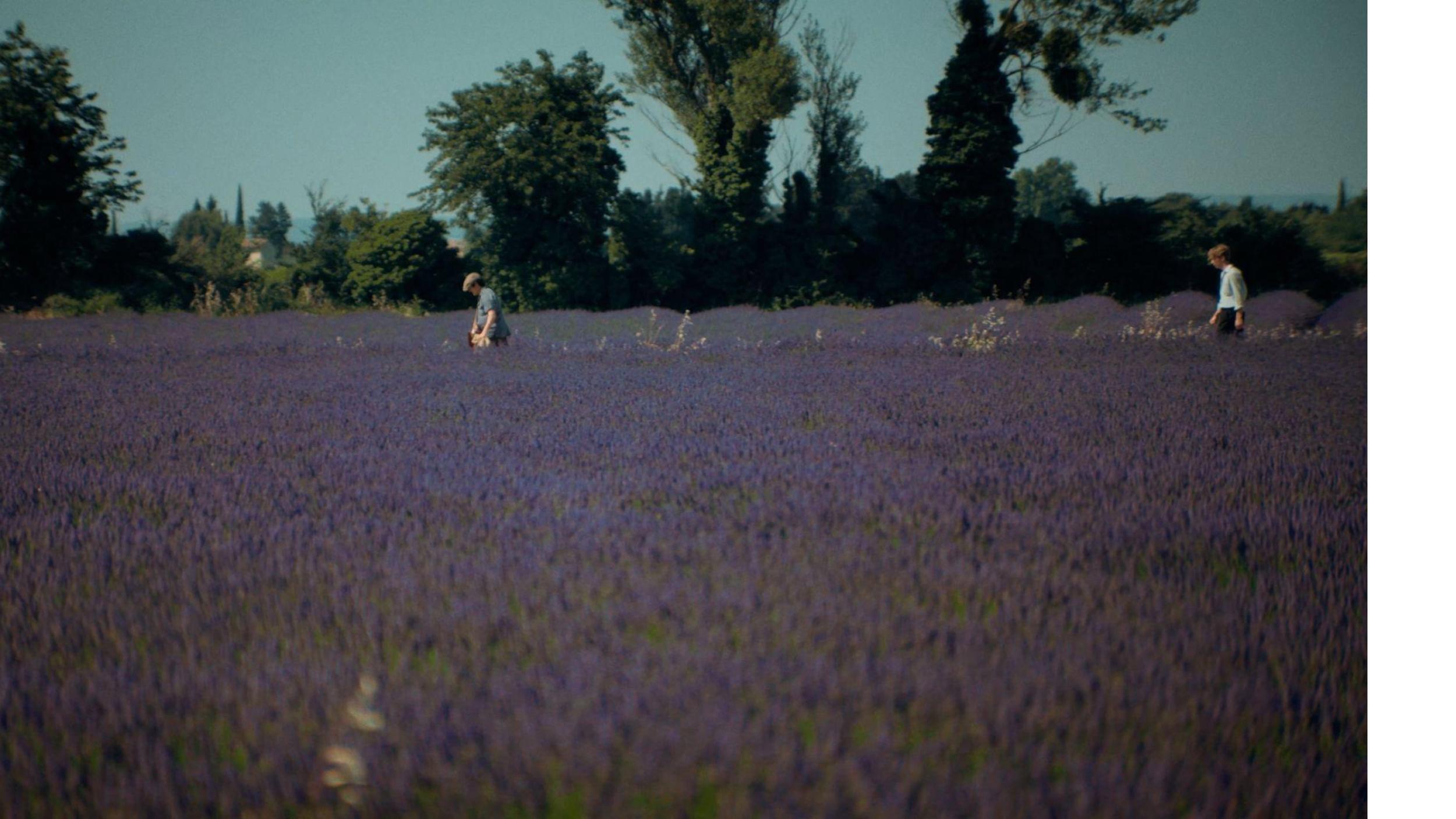 One Bright Afternoon 2026 movie scene