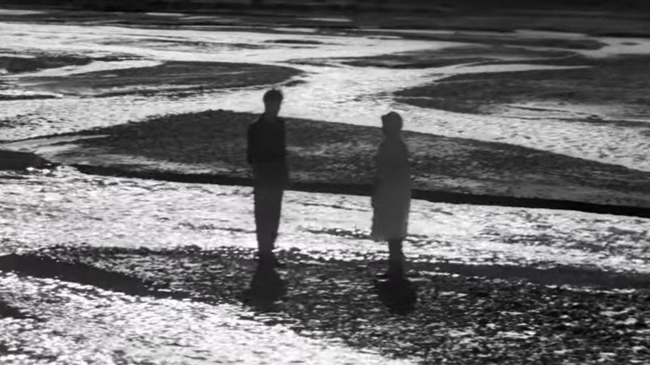White, White Storks 1967 movie scene