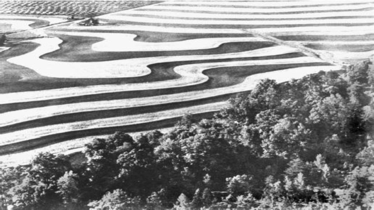 The Land 1942 movie scene