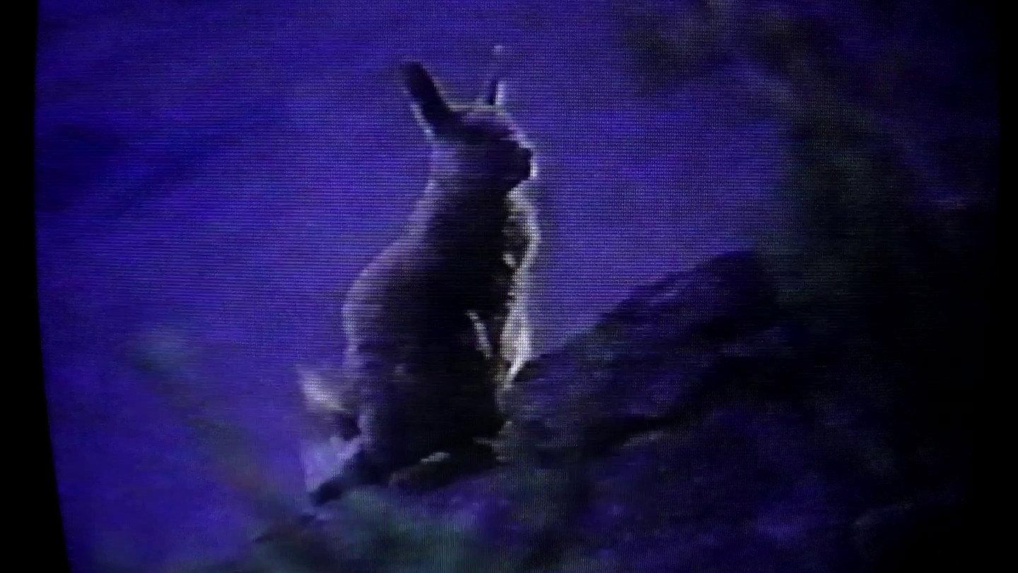 2001 Events 2026 movie scene