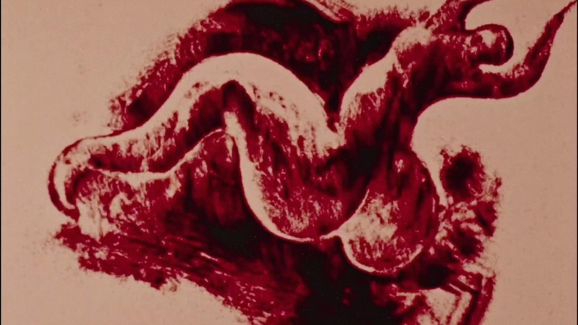 Anima 1977 movie scene