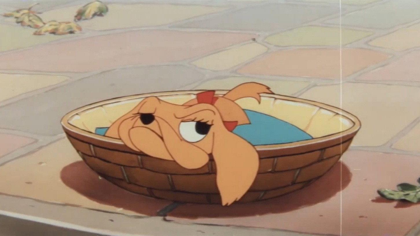 Lucky Dog 1956 movie scene