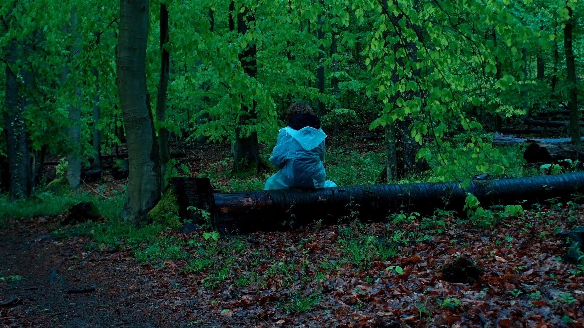 Pfaffendorf Forest 2024 movie scene