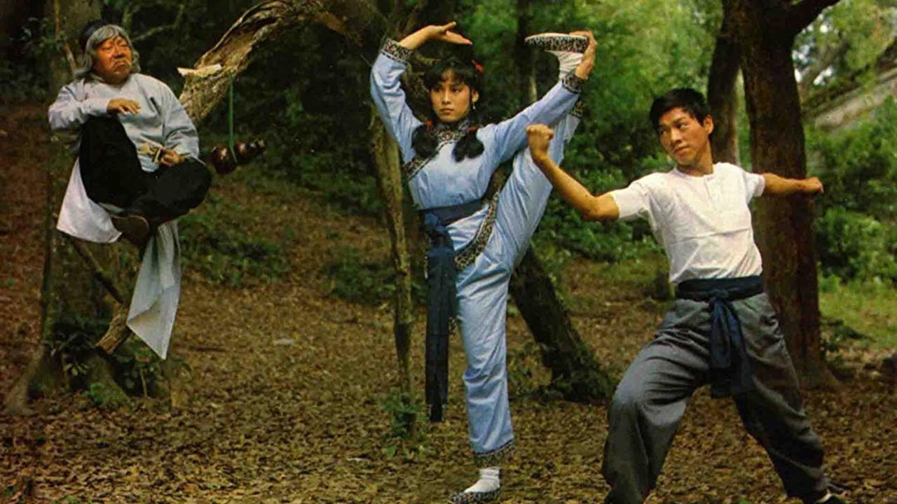 The Story of the Drunken Master 1979 movie scene