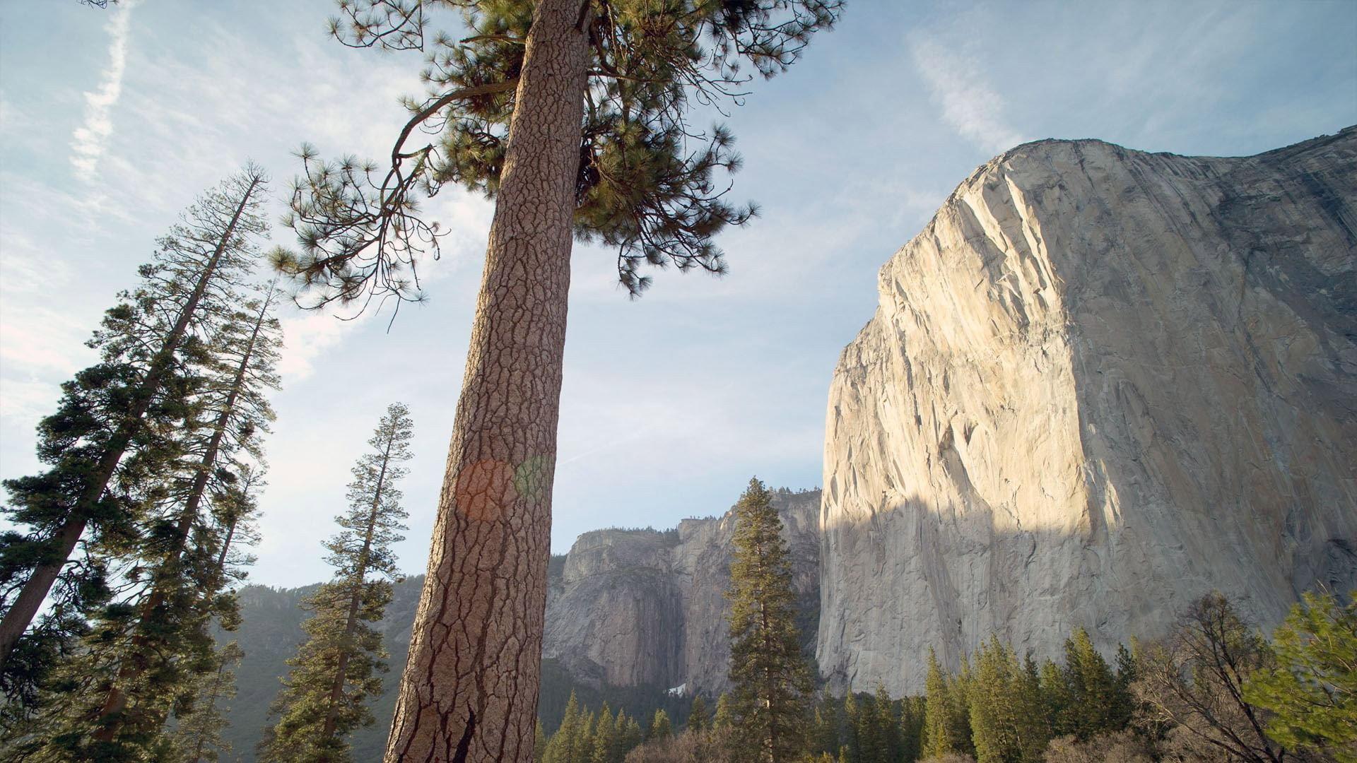 Amerikas Beste Idee - 150 Jahre Nationalparks in den USA 2022 movie scene