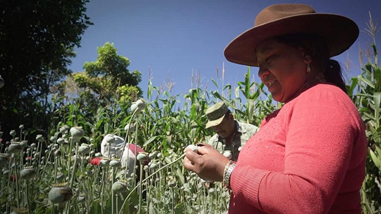 Les vrais Narcos 2020 movie scene