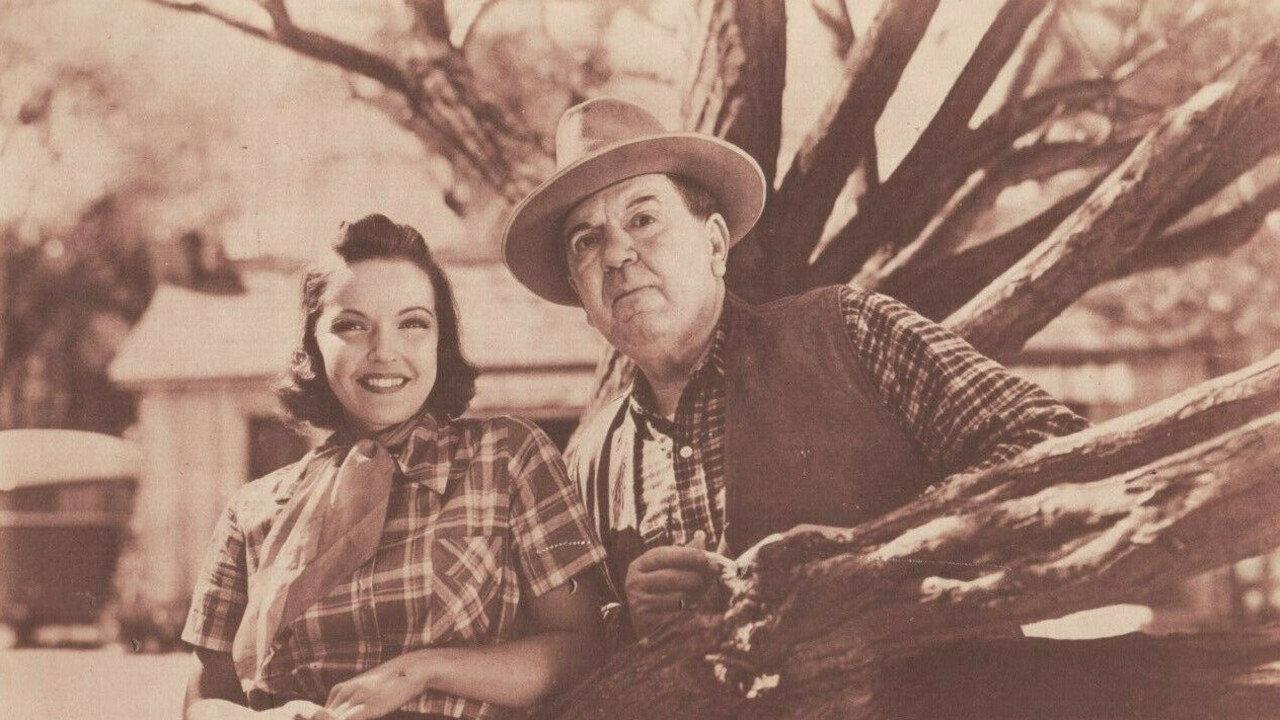 Durango Valley Raiders 1938 movie scene