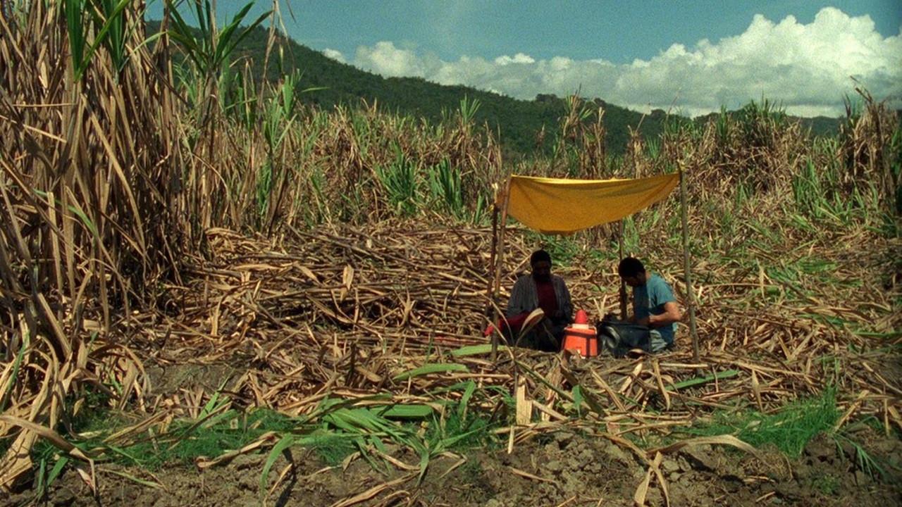 Cut 2012 movie scene