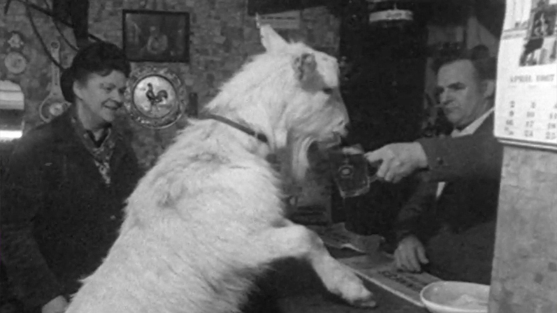 Beer-drinking Billy 1967 movie scene