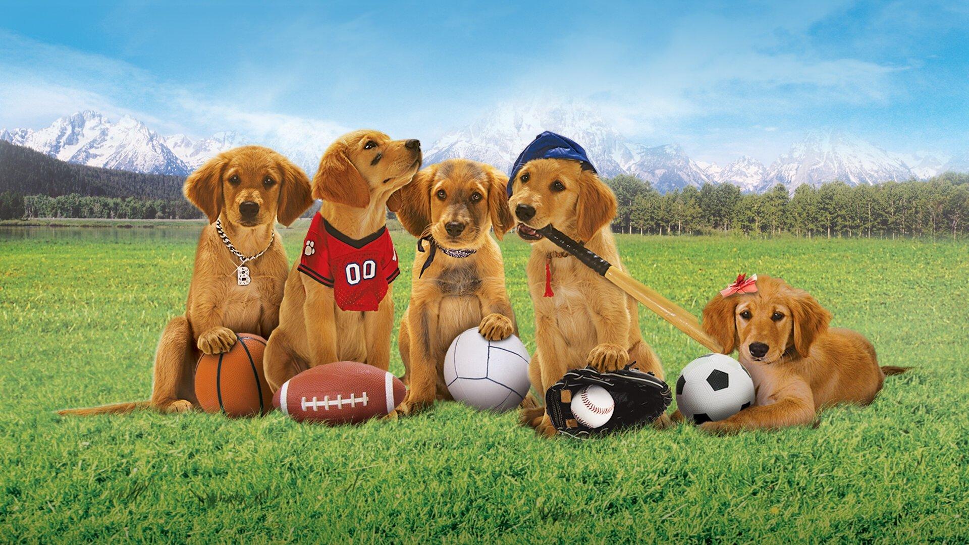 Air Buddies 2006 movie scene