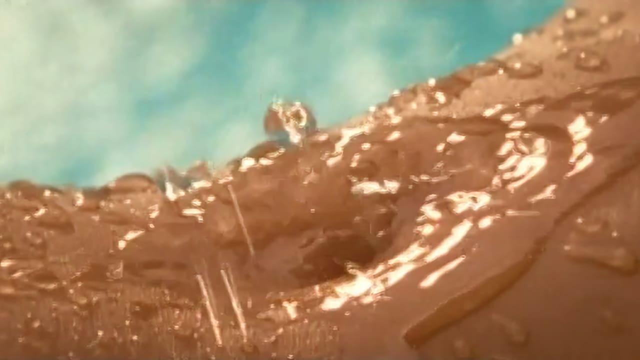 Playboy: Wet & Wild V 1993 movie scene