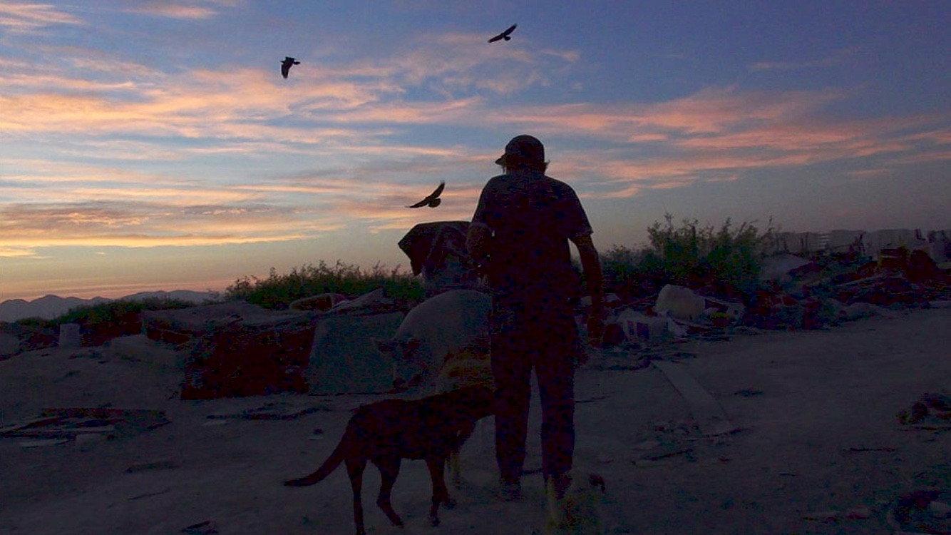 Juan Perros  movie scene