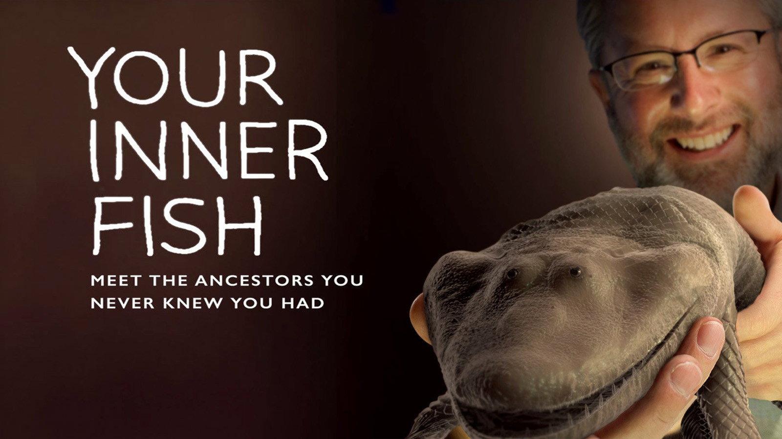 Your Inner Fish 2014 movie scene
