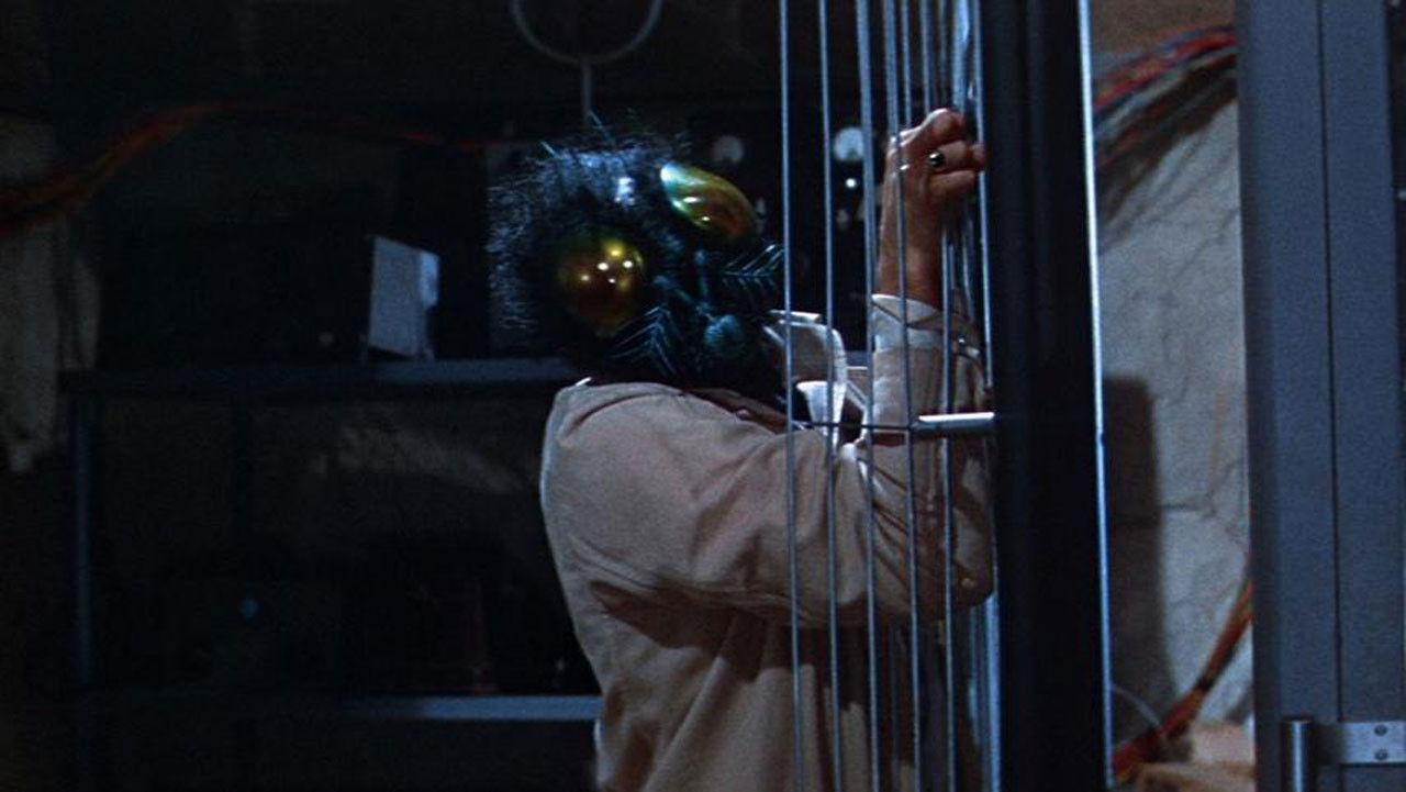 The Fly 1958 movie scene
