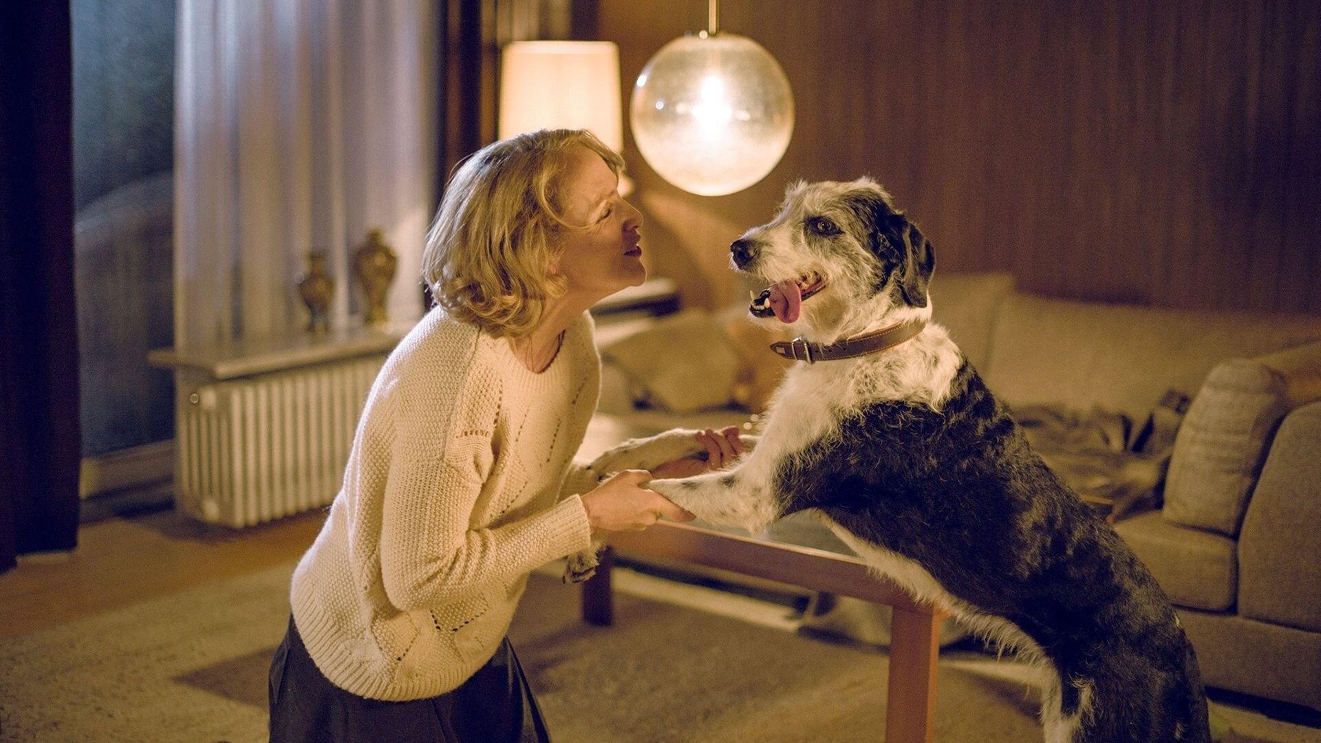 Der Hund begraben 2016 movie scene