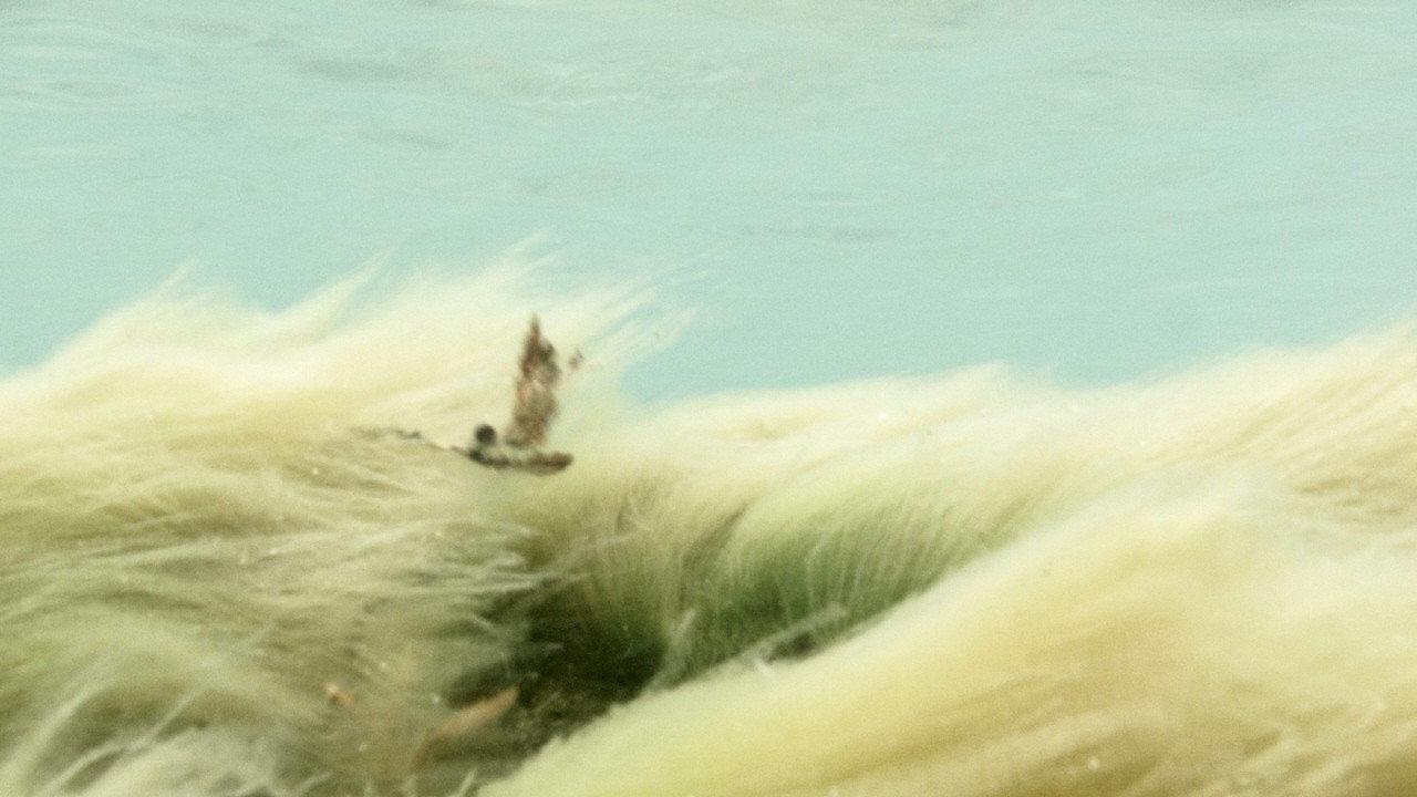 Wildness of Waves 2018 movie scene